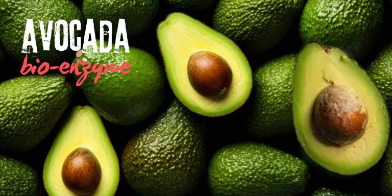 Avocado Bioenzyme Handmade Cold Process Soap: The Smart Ayurvedic Skincare Choice